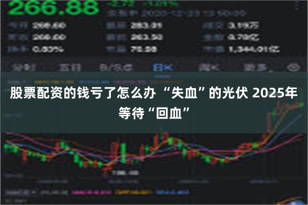 股票配资的钱亏了怎么办 “失血”的光伏 2025年等待“回血”