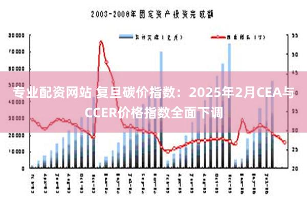 专业配资网站 复旦碳价指数：2025年2月CEA与CCER价格指数全面下调