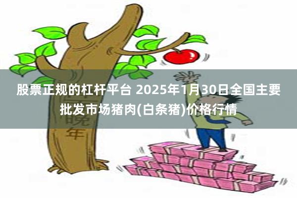 股票正规的杠杆平台 2025年1月30日全国主要批发市场猪肉(白条猪)价格行情