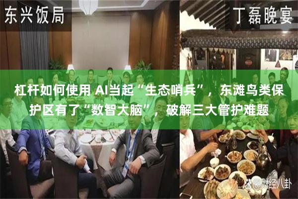 杠杆如何使用 AI当起“生态哨兵”，东滩鸟类保护区有了“数智大脑”，破解三大管护难题